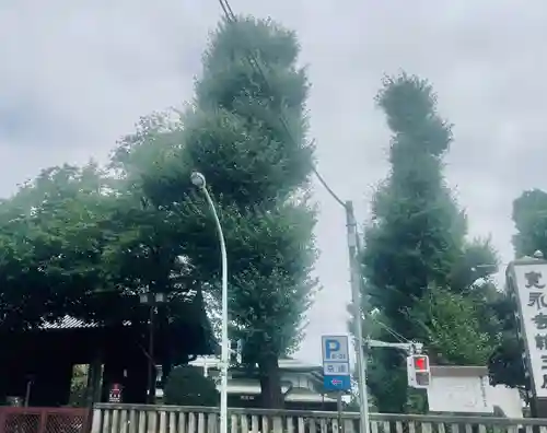 輪王寺両大師堂(寛永寺輪王殿)(東京都)