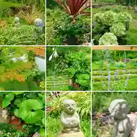 寿量山 速成寺の自然