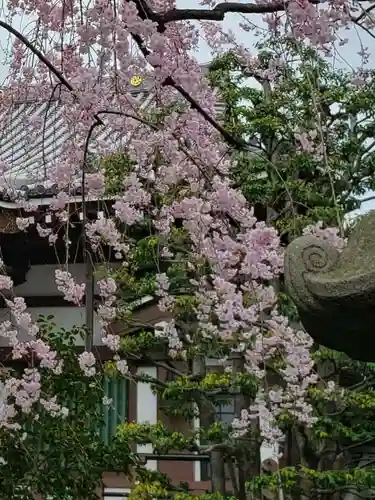最勝寺(東京都)
