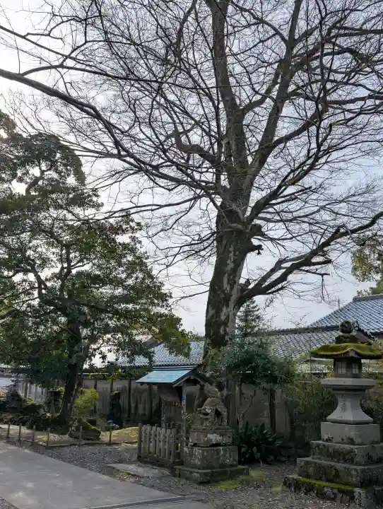 丹後一ノ宮 元伊勢 籠神社の{uncategorized: "未分類", other: "その他", undefined: "問題あり", building: "その他建物", grave: "お墓", sacred_gate: "鳥居", guardian: "狛犬", statue: "像", buddha: "仏像", history: "歴史", nature: "自然", garden: "庭園", animal: "動物", pagoda: "塔", temizu: "手水舎", mountain_gate: "山門・神門", sanctuary: "本殿・本堂", subordinate: "末社・摂社", art: "芸術", scenery: "景色", jizo: "地蔵", ema: "絵馬", goshuin: "御朱印", omikuji: "おみくじ", items: "授与品その他", amulet: "お守り", goshuincho: "御朱印帳", eats: "食事", festival: "お祭り", votive_dance: "神楽", shichigosan: "七五三参", wedding: "結婚式", experience: "体験その他", initially: "初詣", around: "周辺", anti_infection: "感染症対策"}