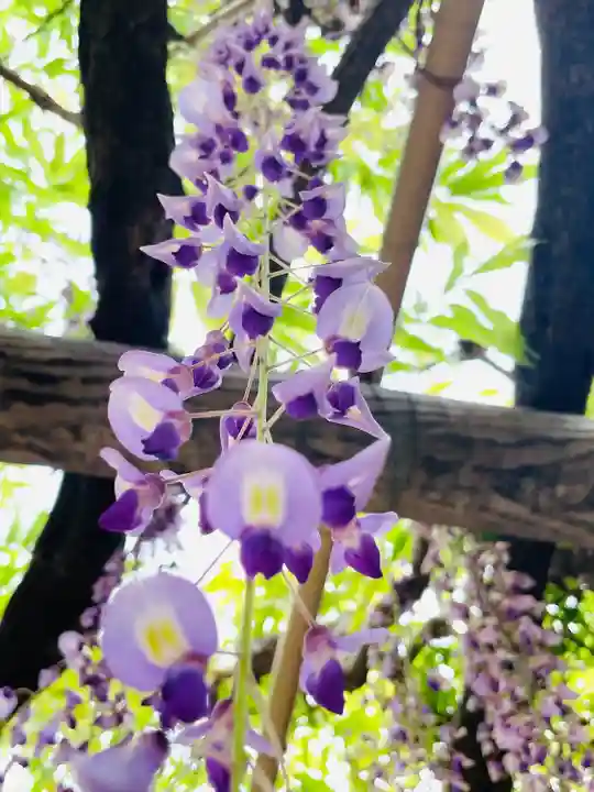 行興寺(静岡県)