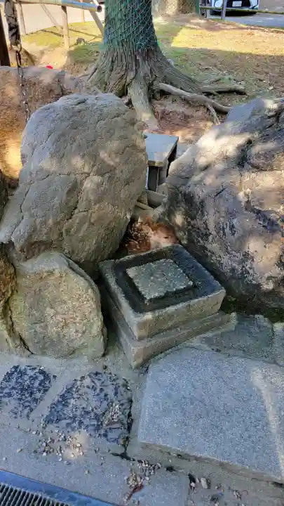 氷室神社の{uncategorized: "未分類", other: "その他", undefined: "問題あり", building: "その他建物", grave: "お墓", sacred_gate: "鳥居", guardian: "狛犬", statue: "像", buddha: "仏像", history: "歴史", nature: "自然", garden: "庭園", animal: "動物", pagoda: "塔", temizu: "手水舎", mountain_gate: "山門・神門", sanctuary: "本殿・本堂", subordinate: "末社・摂社", art: "芸術", scenery: "景色", jizo: "地蔵", ema: "絵馬", goshuin: "御朱印", omikuji: "おみくじ", items: "授与品その他", amulet: "お守り", goshuincho: "御朱印帳", eats: "食事", festival: "お祭り", votive_dance: "神楽", shichigosan: "七五三参", wedding: "結婚式", experience: "体験その他", initially: "初詣", around: "周辺", anti_infection: "感染症対策"}