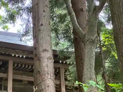 小菅神社奥社(長野県)