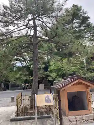 氣比神宮(福井県)