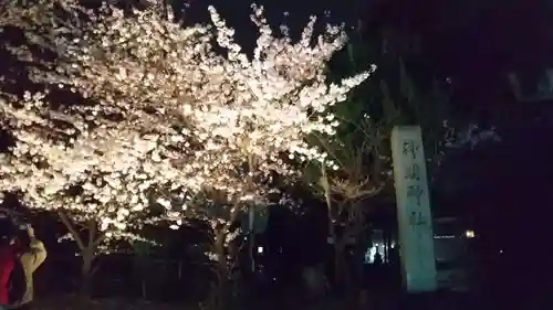 小垣江神明神社の自然