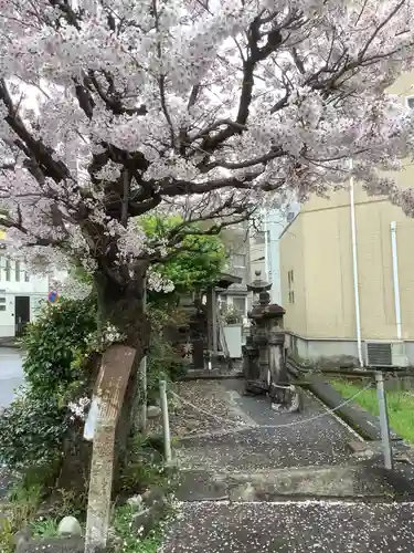 多賀神社（多賀町）の自然