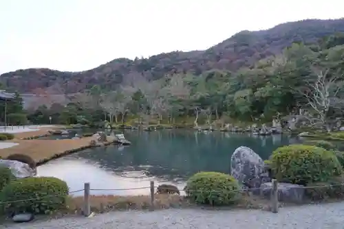 天龍寺の庭園