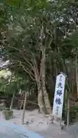 八重垣神社(島根県)