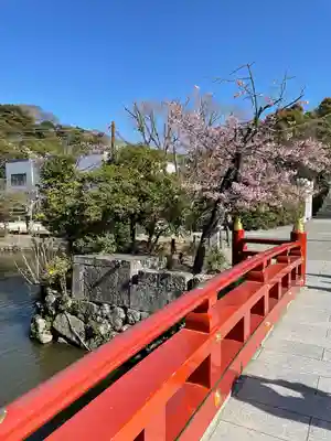 鶴岡八幡宮(神奈川県)