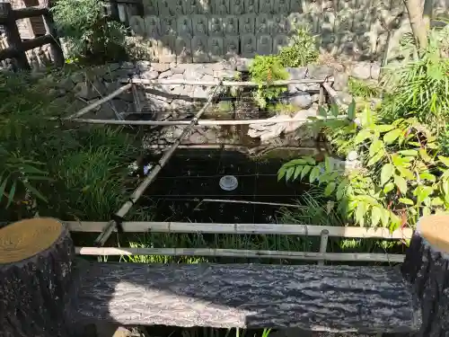 大圓寺の{uncategorized: "未分類", other: "その他", undefined: "問題あり", building: "その他建物", grave: "お墓", sacred_gate: "鳥居", guardian: "狛犬", statue: "像", buddha: "仏像", history: "歴史", nature: "自然", garden: "庭園", animal: "動物", pagoda: "塔", temizu: "手水舎", mountain_gate: "山門・神門", sanctuary: "本殿・本堂", subordinate: "末社・摂社", art: "芸術", scenery: "景色", jizo: "地蔵", ema: "絵馬", goshuin: "御朱印", omikuji: "おみくじ", items: "授与品その他", amulet: "お守り", goshuincho: "御朱印帳", eats: "食事", festival: "お祭り", votive_dance: "神楽", shichigosan: "七五三参", wedding: "結婚式", experience: "体験その他", initially: "初詣", around: "周辺", anti_infection: "感染症対策"}