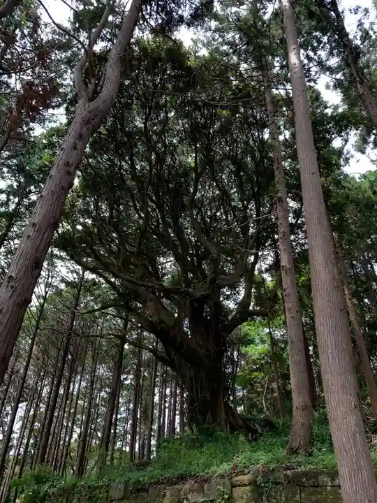 天照皇太神宮の自然