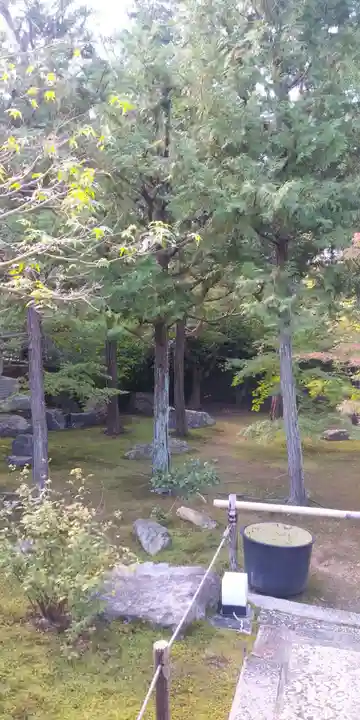 勝林寺の庭園