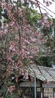 大豊神社(京都府)