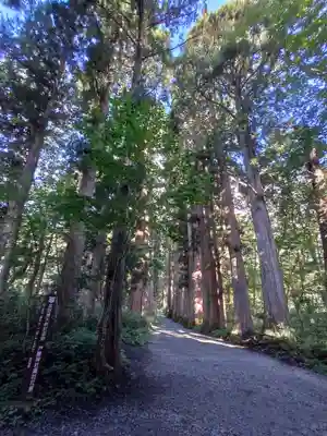 戸隠神社奥社(長野県)