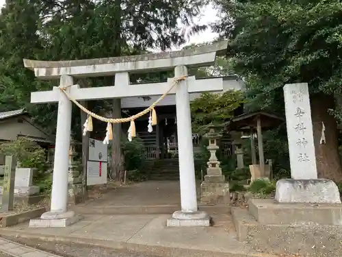 辛科神社(群馬県)