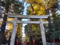 馬橋稲荷神社の鳥居