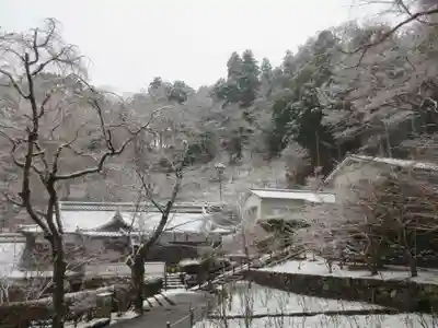 長谷寺(奈良県)