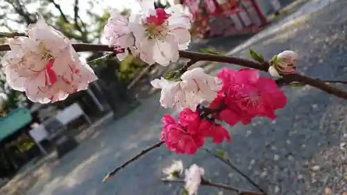 美濃輪稲荷神社(静岡県)