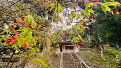 白藤神社(兵庫県)