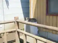 高根町熊野神社の動物