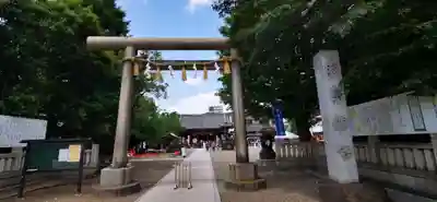 浅草神社の鳥居
