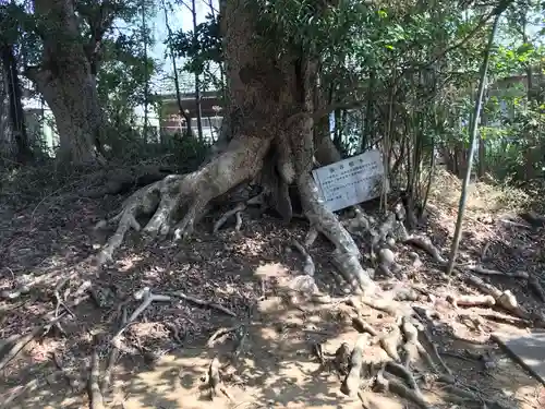 愛宕神社の自然