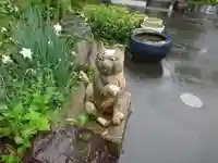 御誕生寺(猫寺)の狛犬