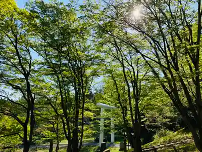 土津神社｜こどもと出世の神さまのその他建物