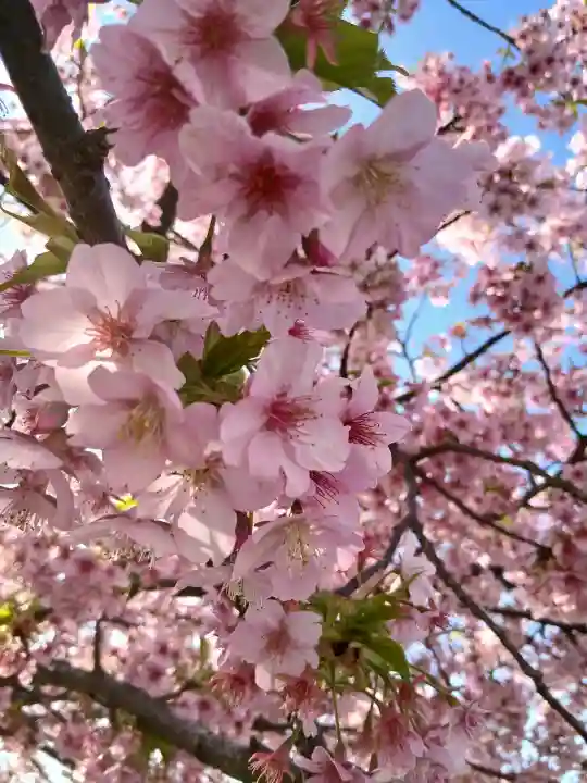 芝東照宮の{uncategorized: "未分類", other: "その他", undefined: "問題あり", building: "その他建物", grave: "お墓", sacred_gate: "鳥居", guardian: "狛犬", statue: "像", buddha: "仏像", history: "歴史", nature: "自然", garden: "庭園", animal: "動物", pagoda: "塔", temizu: "手水舎", mountain_gate: "山門・神門", sanctuary: "本殿・本堂", subordinate: "末社・摂社", art: "芸術", scenery: "景色", jizo: "地蔵", ema: "絵馬", goshuin: "御朱印", omikuji: "おみくじ", items: "授与品その他", amulet: "お守り", goshuincho: "御朱印帳", eats: "食事", festival: "お祭り", votive_dance: "神楽", shichigosan: "七五三参", wedding: "結婚式", experience: "体験その他", initially: "初詣", around: "周辺", anti_infection: "感染症対策"}