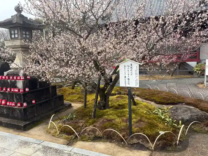 岩津天満宮(愛知県)