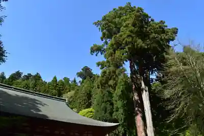 比叡山延暦寺の自然