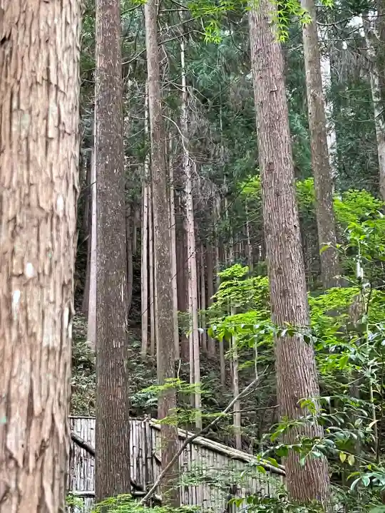 慈照寺(慈照禅寺・銀閣寺)(京都府)