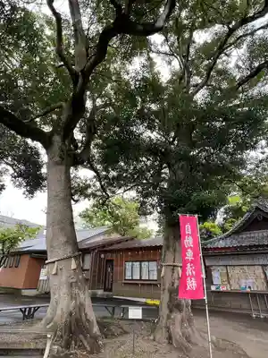 大宮・大原神社(千葉県)