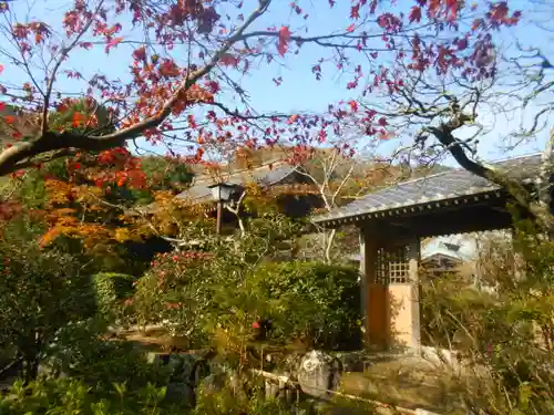 海蔵寺の景色