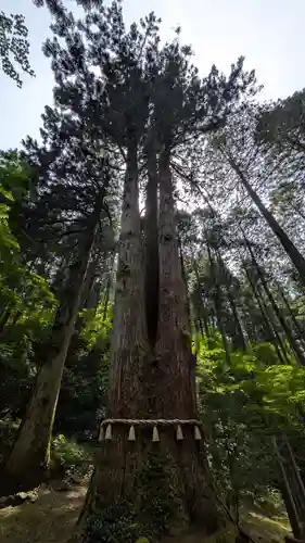 御岩神社(茨城県)