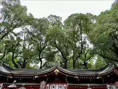 杭全神社(大阪府)