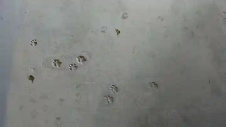 長楽寺のその他建物