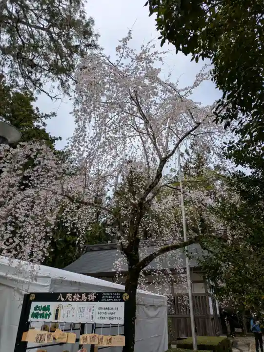 熊野本宮大社の{uncategorized: "未分類", other: "その他", undefined: "問題あり", building: "その他建物", grave: "お墓", sacred_gate: "鳥居", guardian: "狛犬", statue: "像", buddha: "仏像", history: "歴史", nature: "自然", garden: "庭園", animal: "動物", pagoda: "塔", temizu: "手水舎", mountain_gate: "山門・神門", sanctuary: "本殿・本堂", subordinate: "末社・摂社", art: "芸術", scenery: "景色", jizo: "地蔵", ema: "絵馬", goshuin: "御朱印", omikuji: "おみくじ", items: "授与品その他", amulet: "お守り", goshuincho: "御朱印帳", eats: "食事", festival: "お祭り", votive_dance: "神楽", shichigosan: "七五三参", wedding: "結婚式", experience: "体験その他", initially: "初詣", around: "周辺", anti_infection: "感染症対策"}