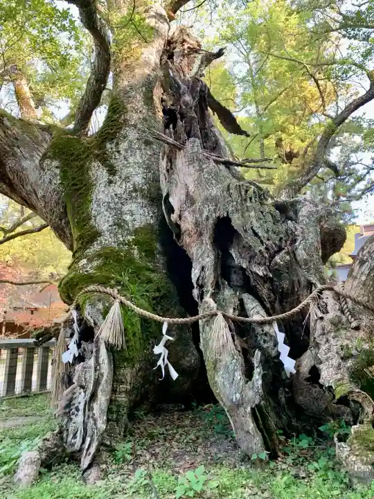 大山祇神社(愛媛県)