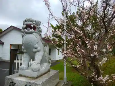 洞爺湖神社の狛犬