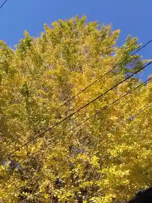杉杜白髭神社(福井県)