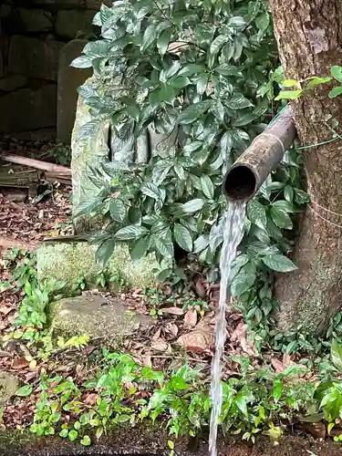 清滝寺の建物その他