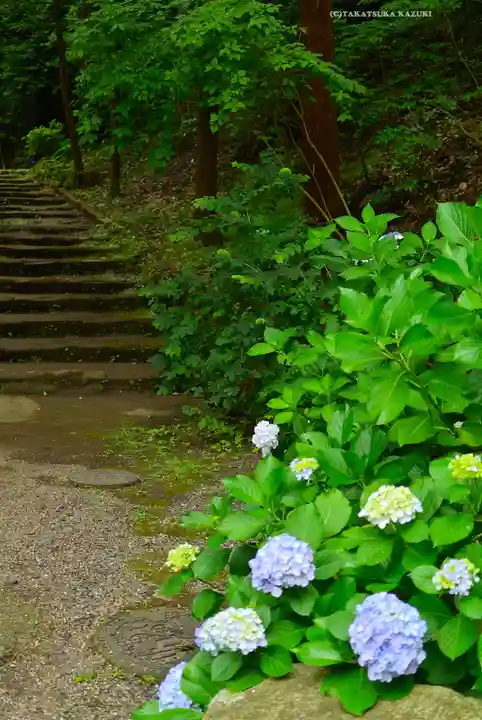 円覚寺(神奈川県)