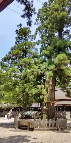 大神神社(奈良県)