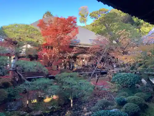 禅林寺（永観堂）のその他建物