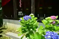 光照寺(新潟県)