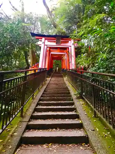 伏見稲荷大社の鳥居