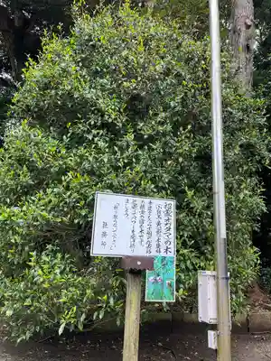 息栖神社(茨城県)