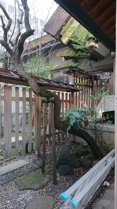 芝大神宮の庭園