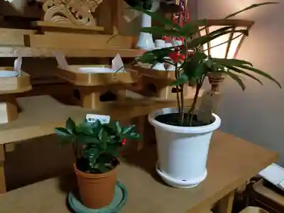 伏木香取神社(茨城県)